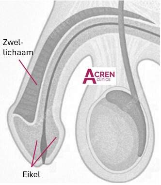 urologie